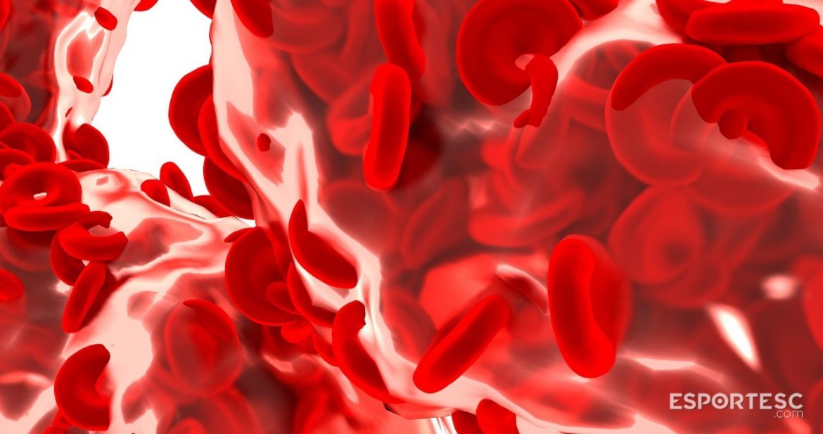 ferro-um-mineral-essencial-a-saude