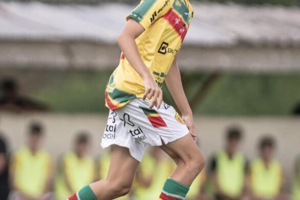 WhatsApp Image 2025-11-13 at 12.18.18