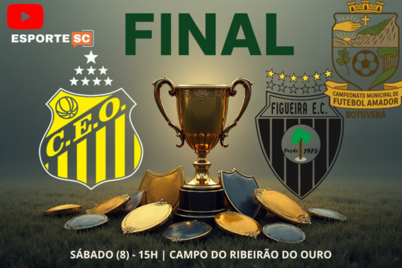 SÁBADO 15H Campo do Ribeirão do Ouro (4)