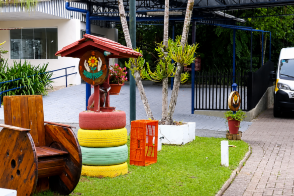 APAE BLUMENAU